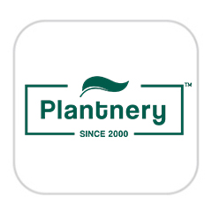 Planterny